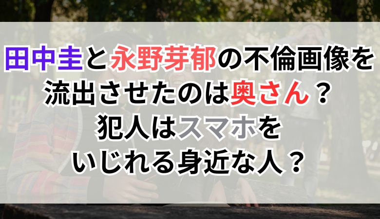 田中圭と永野芽郁の不倫画像を流出させたのは奥さん？犯人はスマホをいじれる身近な人？