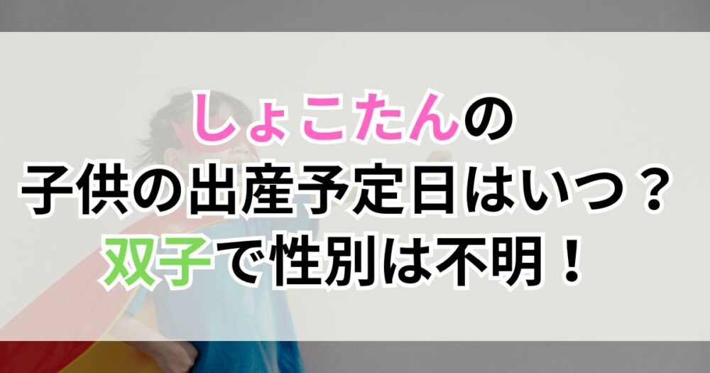 中川翔子（しょこたん）の子供の出産予定日はいつ？双子で性別は不明！