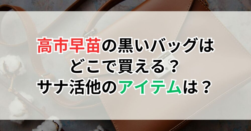 高市早苗の黒いバッグはどこで買える?サナ活他のアイテムは?